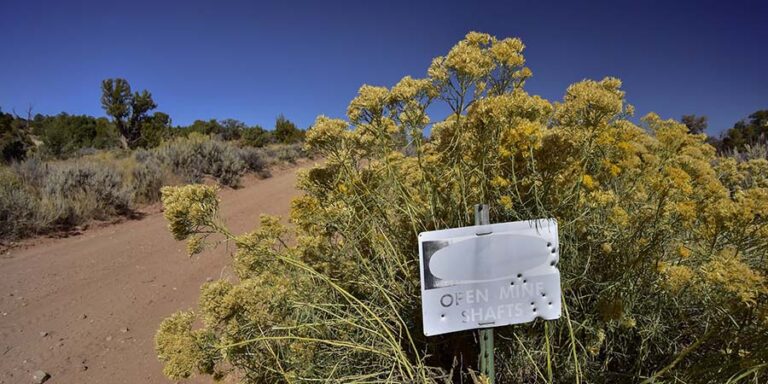 A weathered sign reading “OPEN MINE SHAFTS” stands among yellow wildflowers beside a dirt road under a clear blue sky.