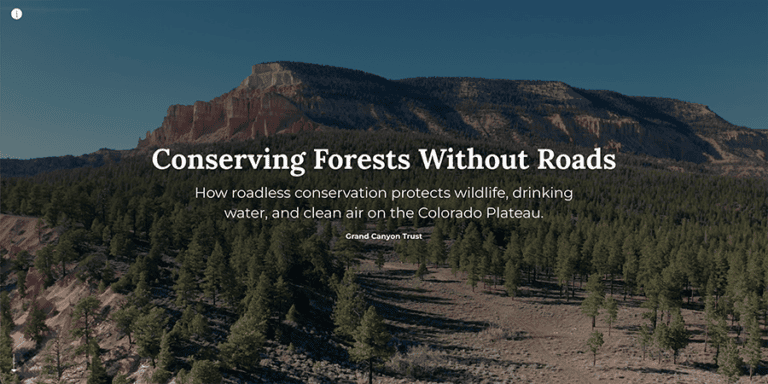 Pine forest spreads across rolling hills below a large, rocky plateau under a clear sky, with text overlay about forest conservation without roads.
