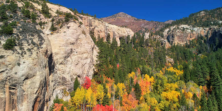 Rocky cliffs and forested slopes with colorful autumn trees under a clear blue sky, and a mountain peak in the background.