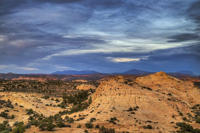 Rocky desert landscape with sparse vegetation under a mostly cloudy sky, with distant mountains visible on the horizon, rolling yellow slickrock with mountains in the background, Grand Staircase-Escalante National Monument.